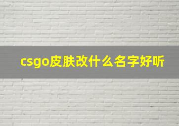 csgo皮肤改什么名字好听