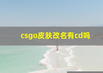 csgo皮肤改名有cd吗