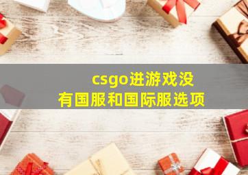 csgo进游戏没有国服和国际服选项