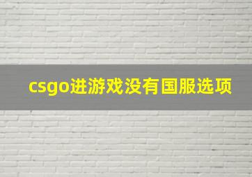 csgo进游戏没有国服选项