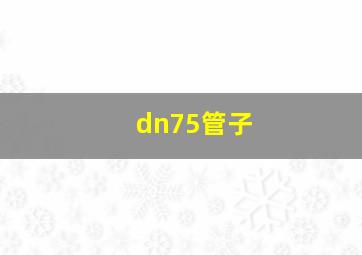 dn75管子