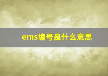 ems编号是什么意思