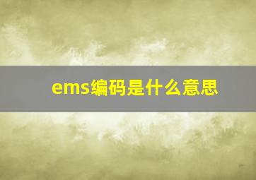 ems编码是什么意思