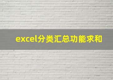 excel分类汇总功能求和