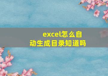 excel怎么自动生成目录知道吗