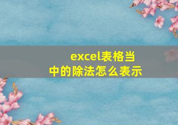 excel表格当中的除法怎么表示