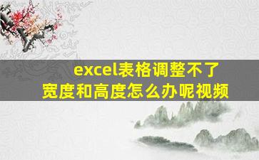 excel表格调整不了宽度和高度怎么办呢视频