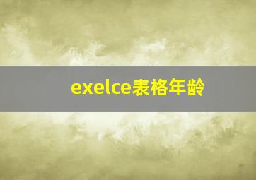 exelce表格年龄