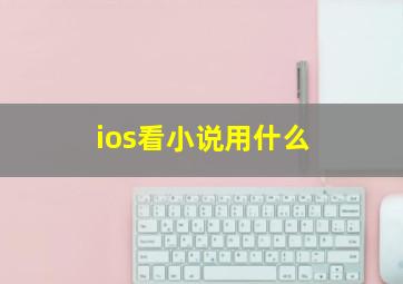 ios看小说用什么