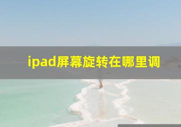 ipad屏幕旋转在哪里调