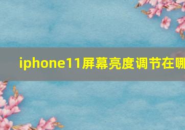 iphone11屏幕亮度调节在哪