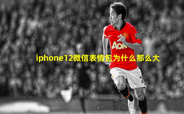 iphone12微信表情包为什么那么大