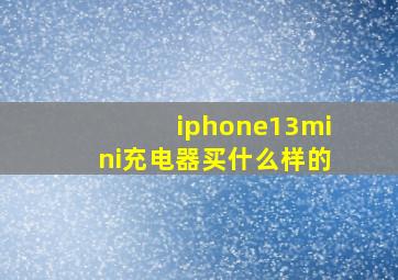 iphone13mini充电器买什么样的