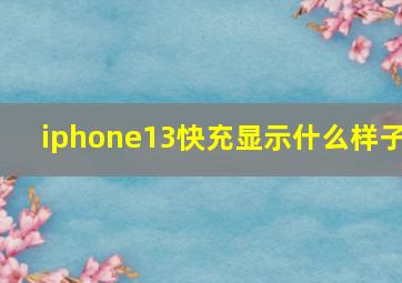 iphone13快充显示什么样子