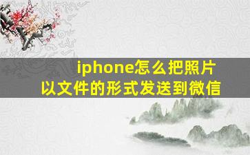 iphone怎么把照片以文件的形式发送到微信