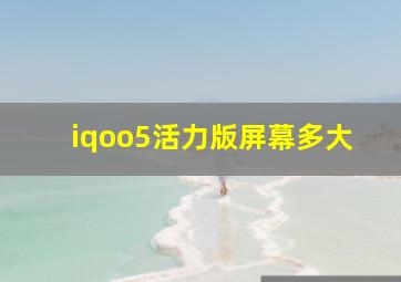 iqoo5活力版屏幕多大