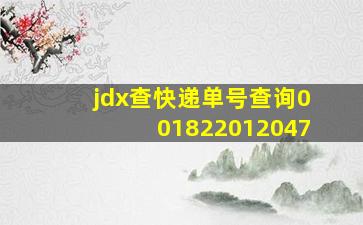 jdx查快递单号查询001822012047