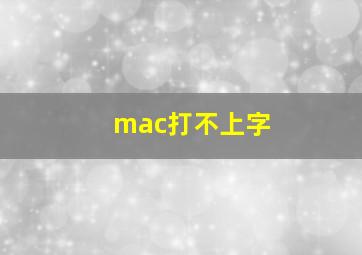 mac打不上字