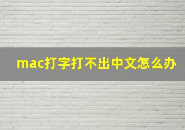 mac打字打不出中文怎么办