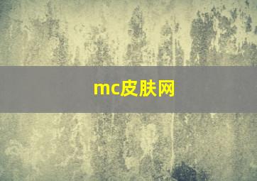 mc皮肤网