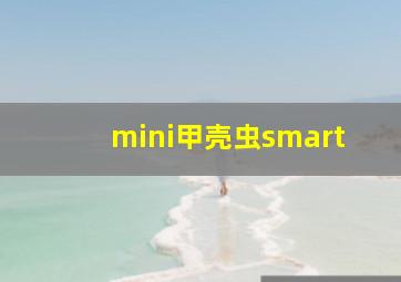 mini甲壳虫smart