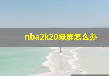 nba2k20绿屏怎么办