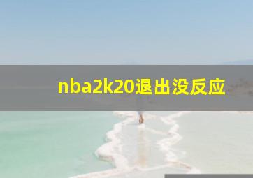 nba2k20退出没反应