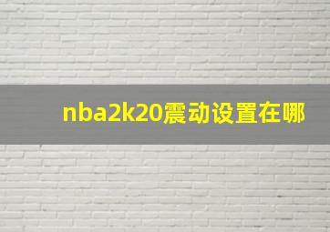 nba2k20震动设置在哪