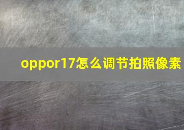 oppor17怎么调节拍照像素