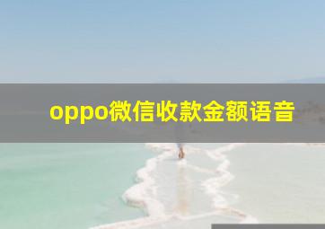 oppo微信收款金额语音