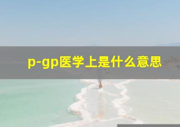 p-gp医学上是什么意思