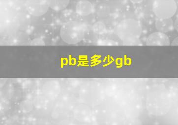 pb是多少gb