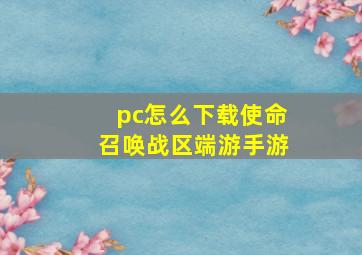 pc怎么下载使命召唤战区端游手游