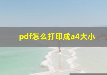 pdf怎么打印成a4大小