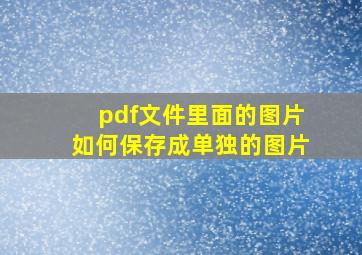 pdf文件里面的图片如何保存成单独的图片