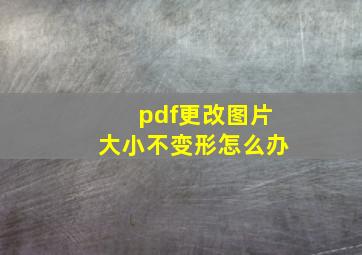 pdf更改图片大小不变形怎么办