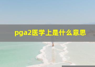 pga2医学上是什么意思