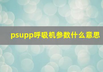 psupp呼吸机参数什么意思