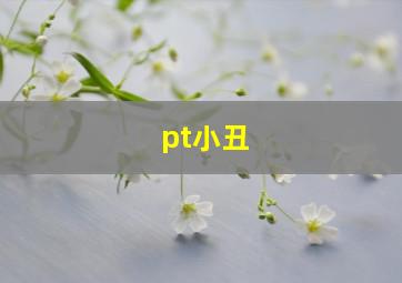 pt小丑