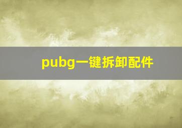 pubg一键拆卸配件