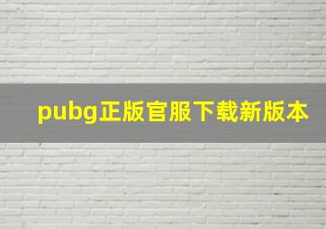 pubg正版官服下载新版本