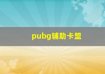 pubg辅助卡盟