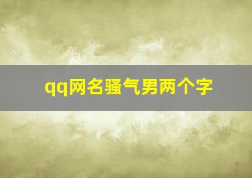 qq网名骚气男两个字