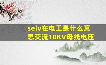 selv在电工是什么意思交流10KV母线电压