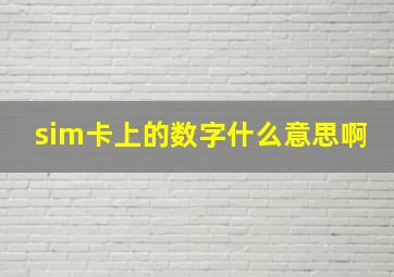 sim卡上的数字什么意思啊