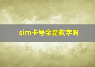 sim卡号全是数字吗