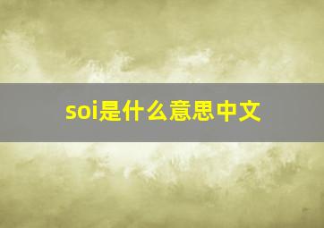 soi是什么意思中文