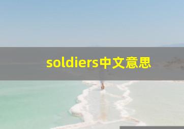 soldiers中文意思