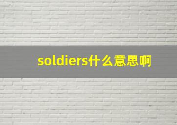 soldiers什么意思啊