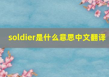 soldier是什么意思中文翻译